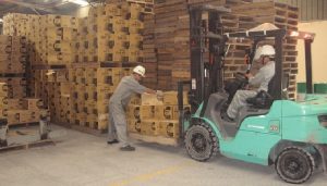 Giá Vận chuyển khổ xưởng — Hữu Sang Logistics